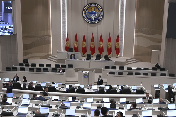 Тынчтык жөнүндө мыйзам долбоорун Жогорку Кеңеш биринчи окууда кабыл алды