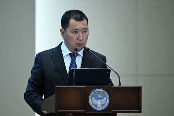 Былтыр айыл чарбасынын дүң продукциясы 459,7 млрд сомго жетти