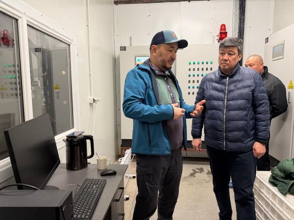 Кеминде жылына 15 миң тонна тоок этин өндүрүү пландалууда