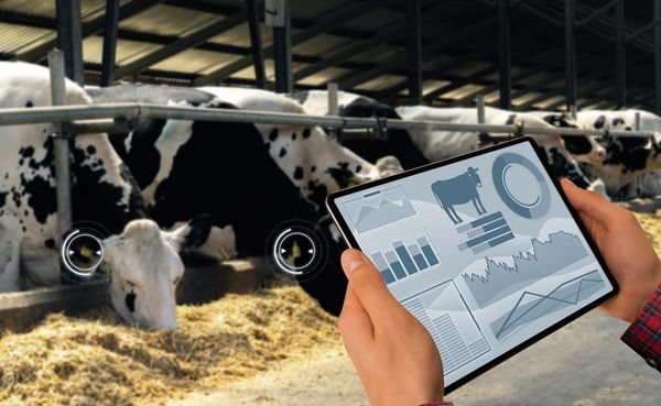 Кыргызстанда ветеринардык дары каражаттарын каттоо санарип форматка өтөт