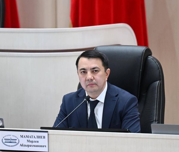 Парламентте жаңы реформалык кадамдар жана санариптештирүү талкууланды