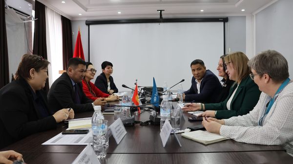 Эмгек министрлиги ЮНИСЕФ менен балдарды социалдык коргоо маселесин талкуулады