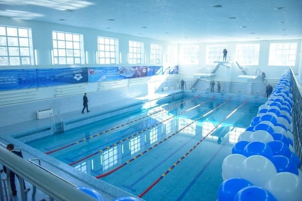 "Дельфин" комплексинде 8 млн 880 миң сомдук каржылык мыйзам бузуу аныктады