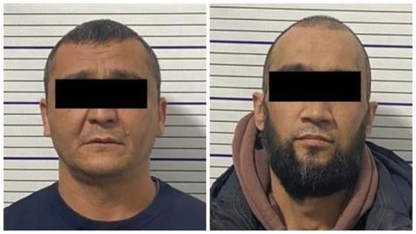 Сузак районунда жер тилкелерин мыйзамсыз сатуу аныкталды