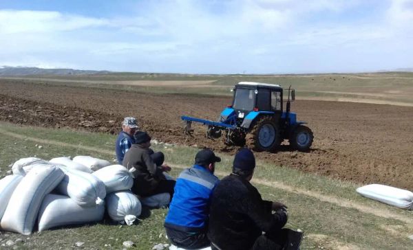 Дыйкандык чарбалардын укуктук статусу өзгөртүлөбү?