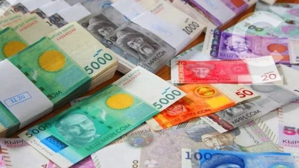 Соцфонд МТПФ каражаттарынын эсебинен баалуу кагаздарга инвестиция салды