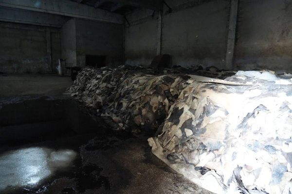 ЖК депутаты Нарынга тери иштетүүчү завод куруу маселесин көтөрдү