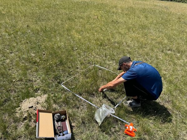 Кыргызстандагы 100 айыл өкмөтүнө жайыттарды жакшыртууга 100 миң доллар грант берилет