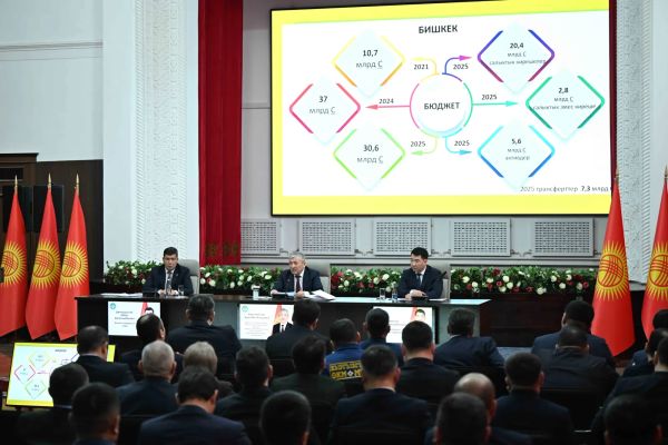 Салык кызматына чогулган 304 млрд сомдун 198,7 млрд сому Бишкекке туура келет