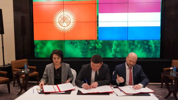 Кыргызстандын үрөнчүлүк чарбаларында жылыш болот