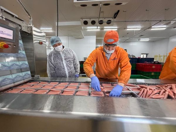 Бакыт Төрөбаев "Тойбосс" ишканасынын өндүрүшү менен таанышты