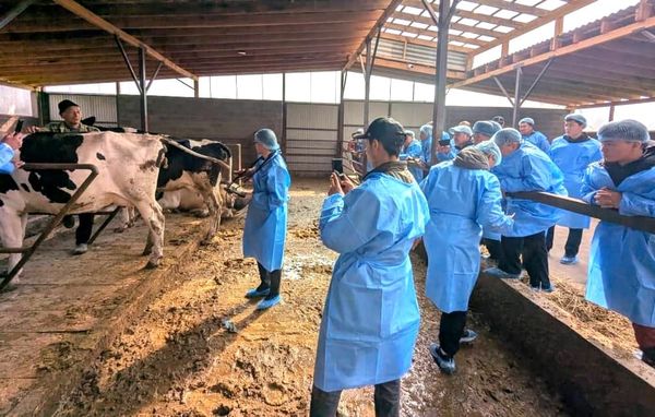 Фермерлерге мал чарбачылыгын өнүктүрүүнүн заманбап ыкмалары үйрөтүлдү
