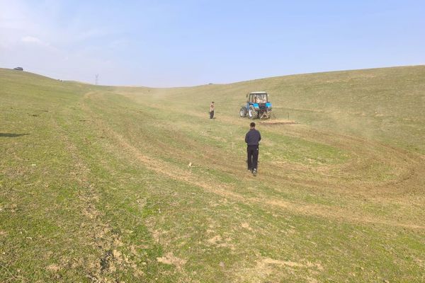 Кадамжай районунда 20 гектар жайыт жер иштетүүгө берилди