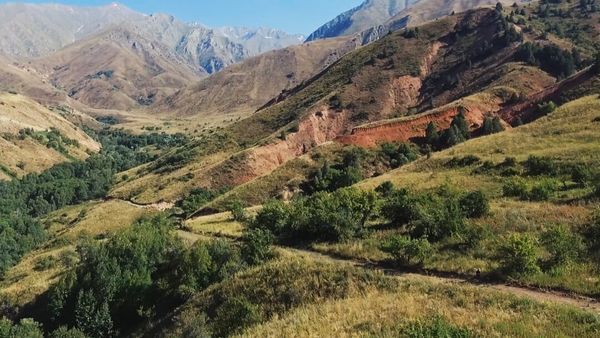 Кыргызстанда эки жыл ичинде тоо кен тармагындагы 320 лицензия жокко чыгарылды