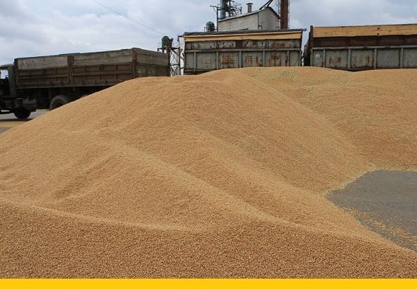 Кыргызстанга Казакстандан дан экспорттоо 1,7 эсеге өстү