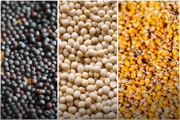 Кайсы товарлар КНСтан бошотулат?