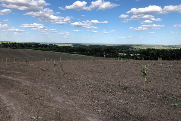 Ак-Суу айыл аймагында 10 гектар кайрак жер завод куруу үчүн трансформацияланат