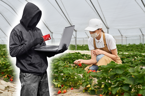 Ишенимдүү жумушка орношуу: чет өлкөдөн иш издеген кыргызстандыктар эмнелерди билиши керек