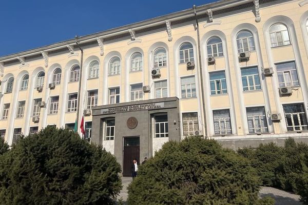 ЖЧК уюштуруучуларынын субсидиардык жоопкерчилиги жөнүндө мыйзам долбоору чакыртылып алынды