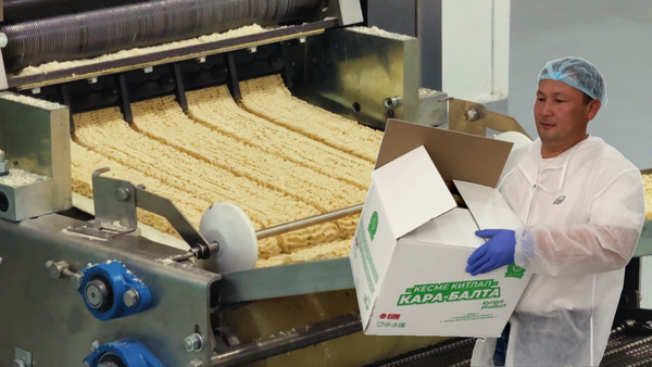 Узак жылдар бою каралбай калган "Дан" мамлекеттик ишканасы кайра жанданды