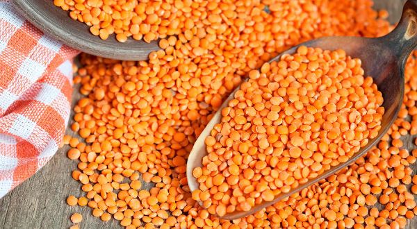 Казакстандын фермерлери буудайдан жасмыкка (чечевица) өтүп жатышат — себептери