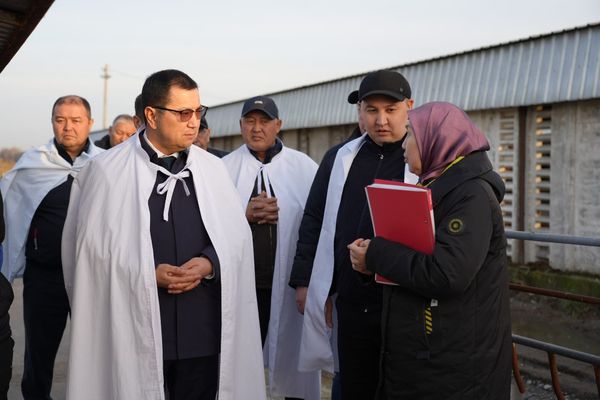 "Чабрец" агрофирмасы заманбап технология менен мал чарбасын өнүктүрүүдө