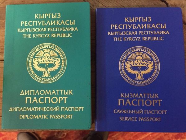 Жогорку Кеңеш бир катар өлкөлөр менен визасыз режимди ратификациялады
