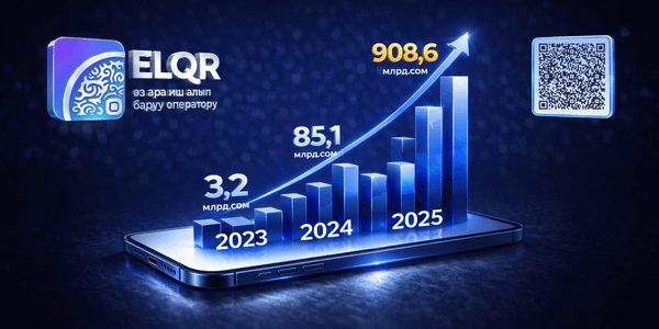 ELQR 6 жылдын ичинде Кыргызстандын төлөм рыногун кандайча өзгөрттү