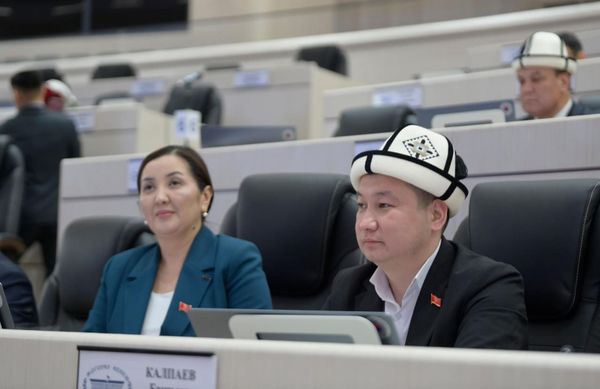 ЖКда чек арадагы эки өткөрүү пунктунун макамын өзгөртүү сунушу колдоо тапты