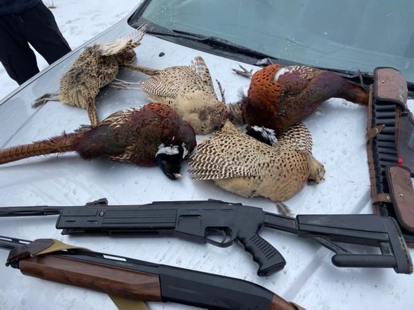 Табийгатты коргоо мыйзамын бузгандарга 18 млн сом айып пул салынды