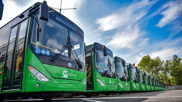 Күн сайын 1300 автобус каттамда: талаштуу маалымат төгүнгө чыгарылды