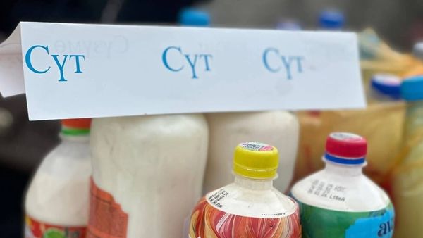 Кыргызстандын сүт рыногунда кырдаал талаптагыдай эмес