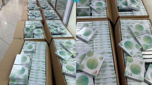 Чек арада  12 миллион сомдук мыйзамсыз БАД алынды