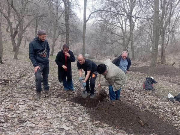 Өзгөн районундагы күрүч талаалары, жаңгак токойлорунун топурагы изилденип жатат