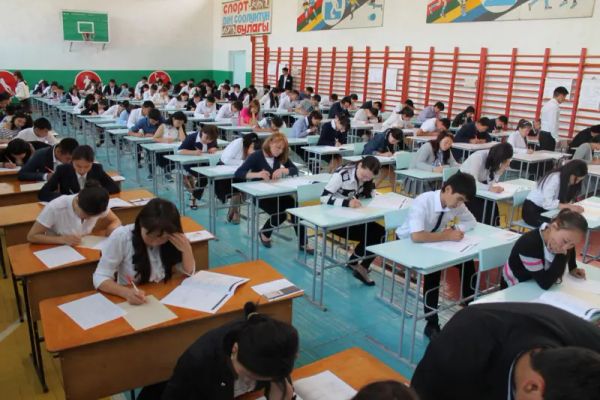 Депутат Бекешев ЖРТны акысыз өткөрүүнү сунуштады