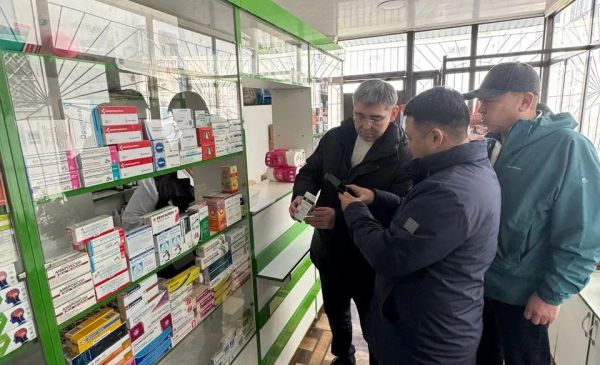 "Неман-Фарм" дарыканасынан электрондук системада жок дарылар чыкты