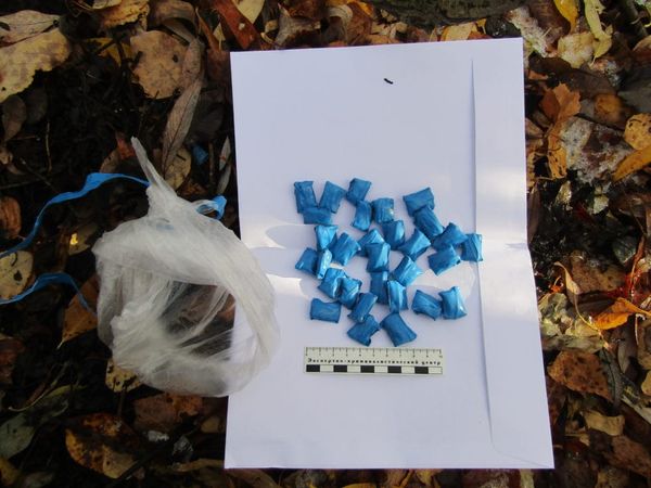 Чүйдө баңгизатын мыйзамсыз жүгүртүүгө шектүү кармалды