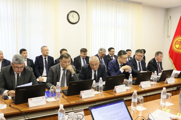 Жайыл районунда 9 ата-энеси жок балага жер участогу берилди