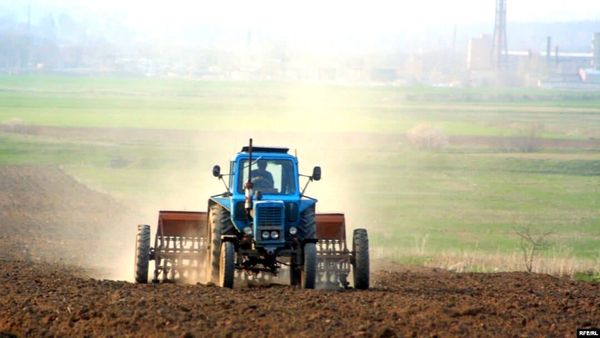 Быйыл 1 млн 250 миң гектар аянтка айыл чарба өсүмдүктөрү себилет