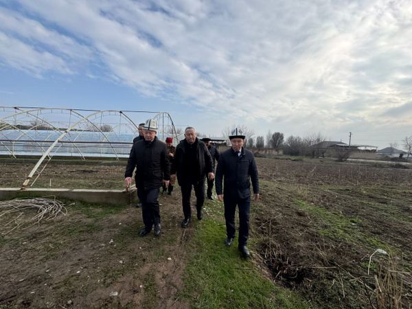 Базар-Коргондо 200 тонна мөмө-жемиш сактоочу кампа пайдаланууга даяр