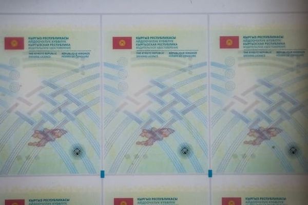 Кыргызстандын айдоочулук күбөлүктөрүн жасалмалоо дээрлик мүмкүн эмес