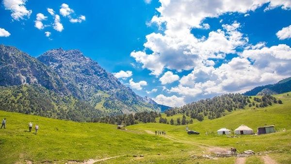 Нарын облусунда 104 гектар жер мыйзамсыз ижарага берилген