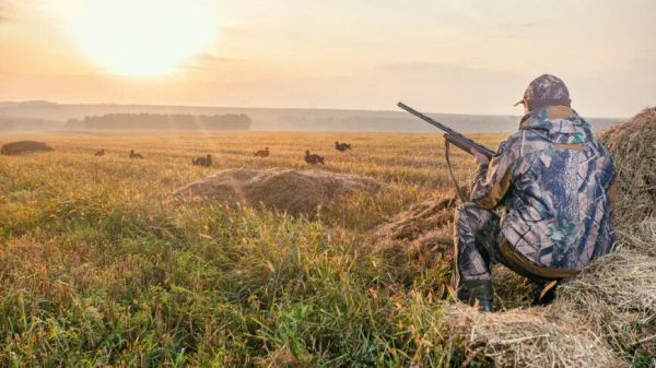 Кыргызстанда аңчылык кылуу  билетинин баасы 15 миң сом болот