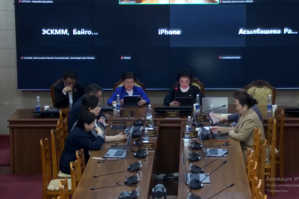 Жогорку Кеңеште кодекстерге өзгөртүү киргизүү тартиби жана эмгекти коргоо тууралуу мыйзам каралды