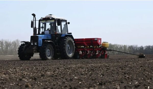 Ак-Суу районунда жазгы талаа иштери башталды