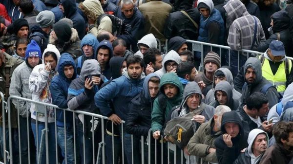 Европа биримдигинде мигранттардын саны былтыр 64,2 млн адамга жеткен