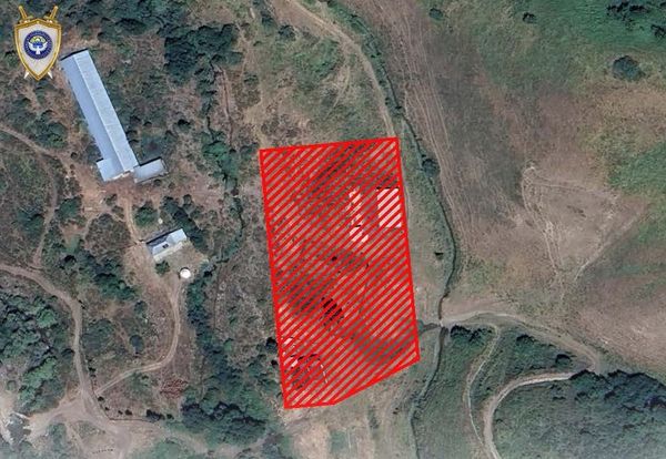 Чоң-Кеминде 103 млн сомдук мүлк мамлекетке кайтарылды