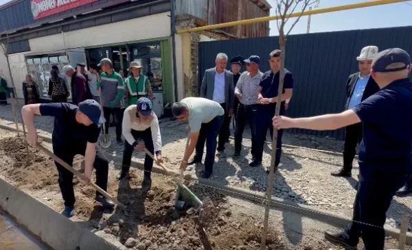 Ош шаарында 1000 көчөт отургузулду