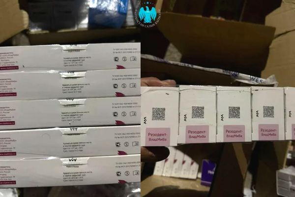 Өлкөгө 7,6 млн сомдук дары-дармекти мыйзамсыз алып кирүү аракети токтотулду