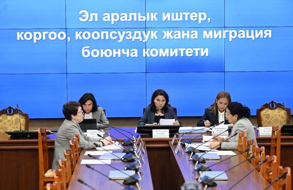 "Кемин – Балыкчы" долбоору: 67,7 млн евролук электр линиясы колдоого алынды